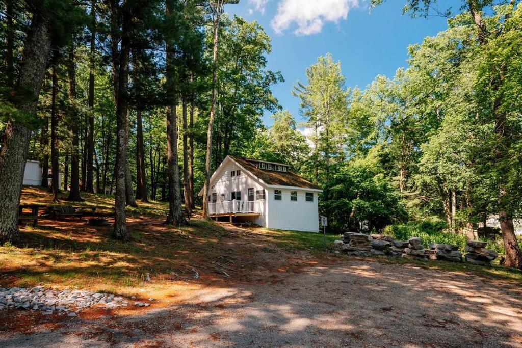 Cabin On Beautiful Arbutus Lake Near Traverse City Eksteriør billede